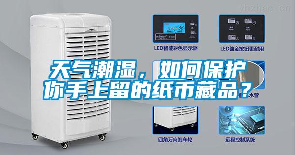 天氣潮濕，如何保護你手上留的紙幣藏品？