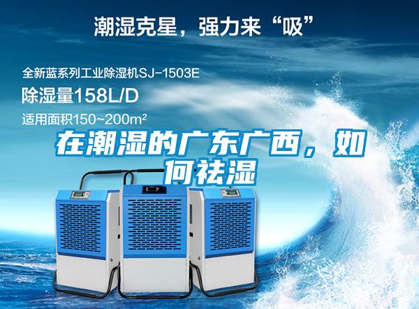 在潮濕的廣東廣西，如何祛濕