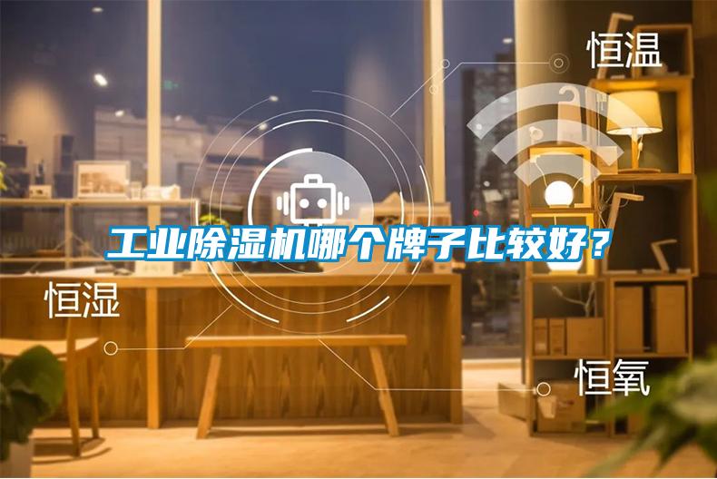 工業(yè)除濕機(jī)哪個(gè)牌子比較好？