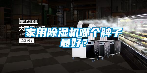 家用除濕機哪個牌子最好？