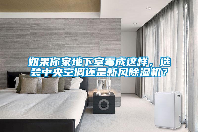 如果你家地下室霉成這樣，選裝中央空調(diào)還是新風(fēng)除濕機？