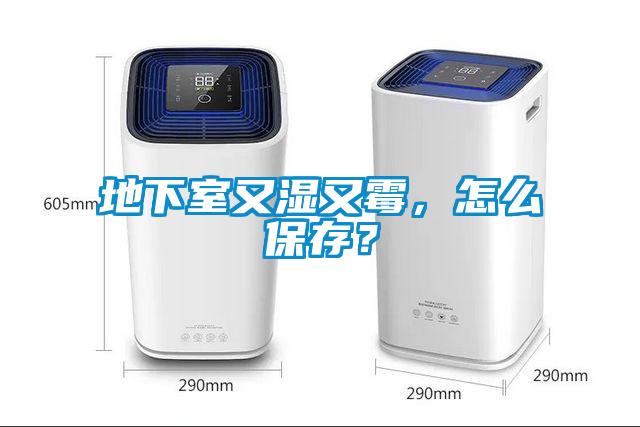 地下室又濕又霉，怎么保存？