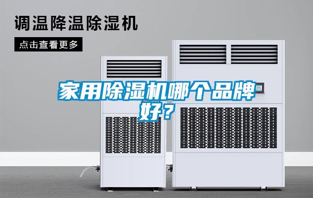 家用除濕機(jī)哪個(gè)品牌好？