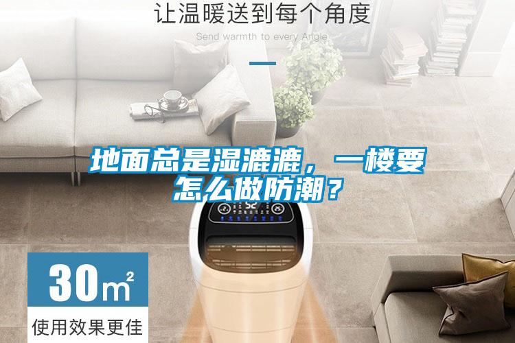 地面總是濕漉漉，一樓要怎么做防潮？
