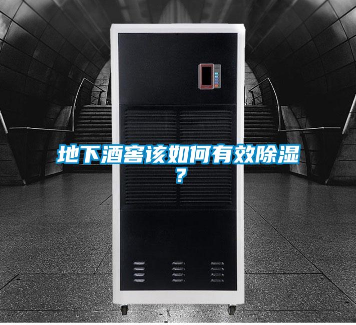 地下酒窖該如何有效除濕？