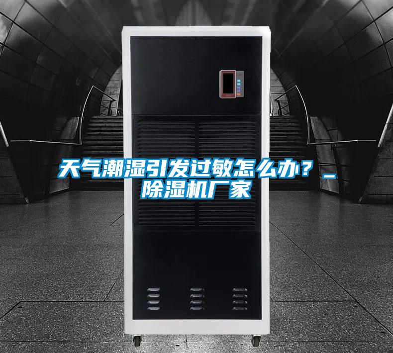 天氣潮濕引發(fā)過敏怎么辦？_除濕機廠家