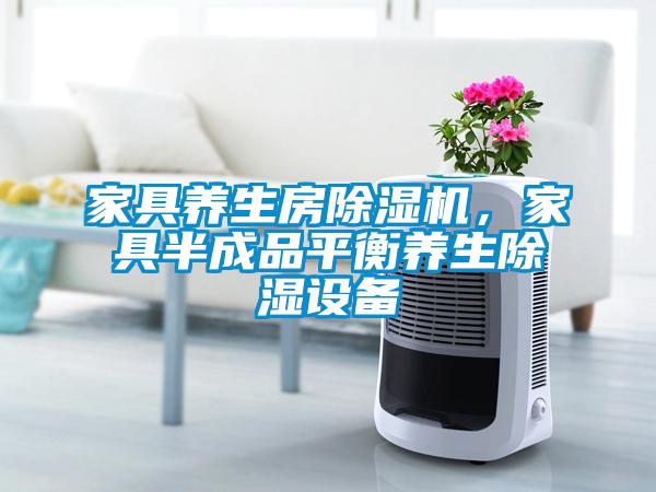 家具養(yǎng)生房除濕機(jī)，家具半成品平衡養(yǎng)生除濕設(shè)備