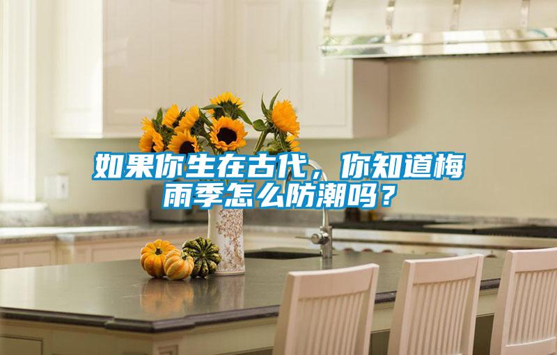 如果你生在古代，你知道梅雨季怎么防潮嗎？