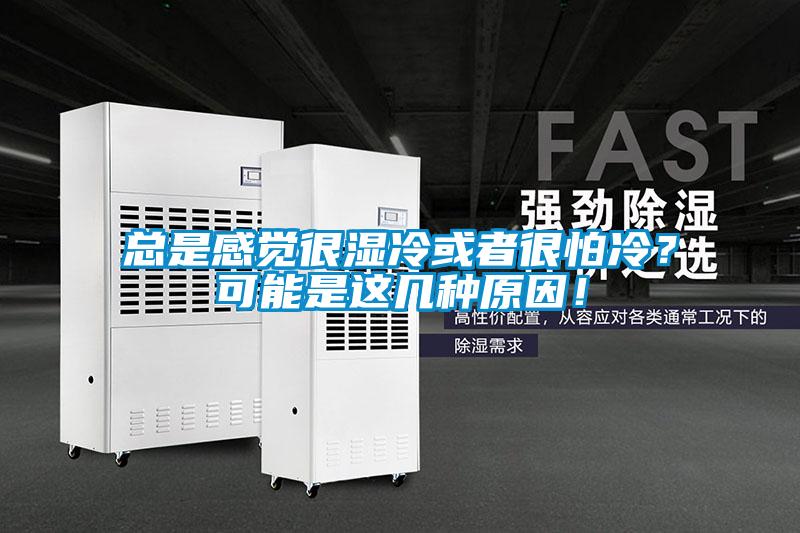 總是感覺很濕冷或者很怕冷？可能是這幾種原因！