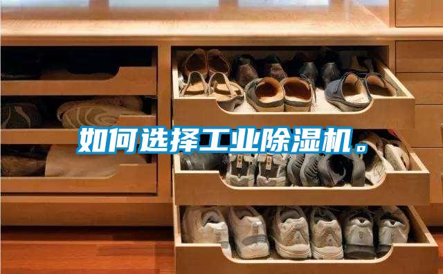 如何選擇工業(yè)除濕機。