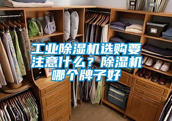 工業(yè)除濕機(jī)選購要注意什么？除濕機(jī)哪個(gè)牌子好