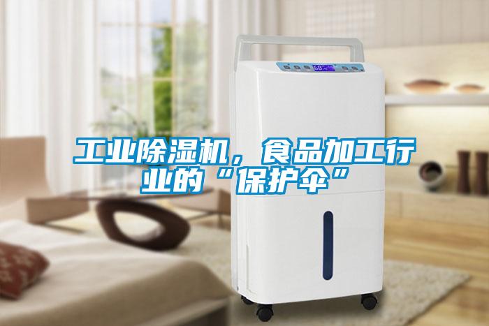 工業(yè)除濕機，食品加工行業(yè)的“保護傘”