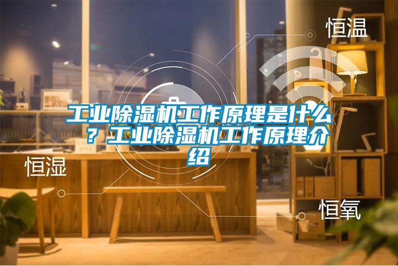 工業(yè)除濕機(jī)工作原理是什么 ？工業(yè)除濕機(jī)工作原理介紹
