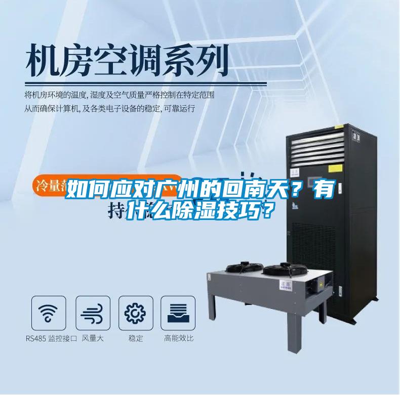 如何應(yīng)對廣州的回南天？有什么除濕技巧？