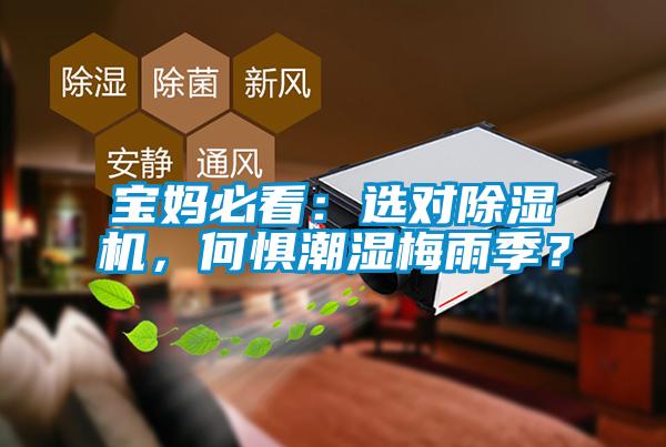 寶媽必看：選對除濕機(jī)，何懼潮濕梅雨季？