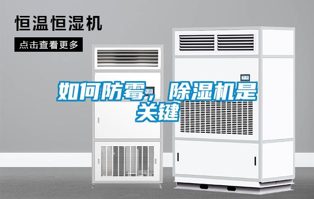 如何防霉，除濕機(jī)是關(guān)鍵