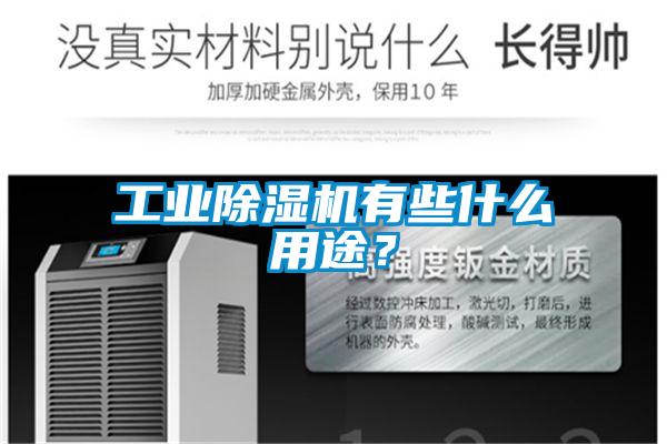 工業(yè)除濕機有些什么用途？