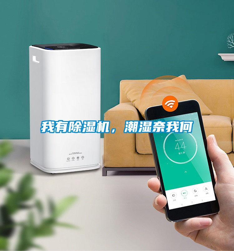 我有除濕機(jī)，潮濕奈我何