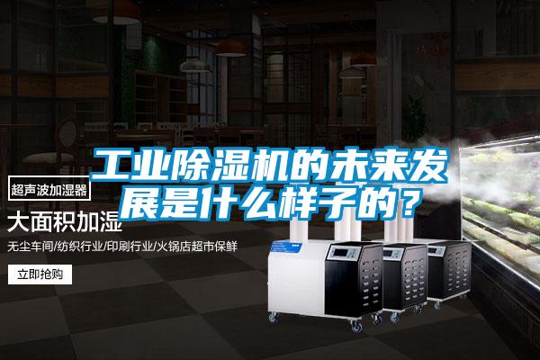 工業(yè)除濕機的未來發(fā)展是什么樣子的？