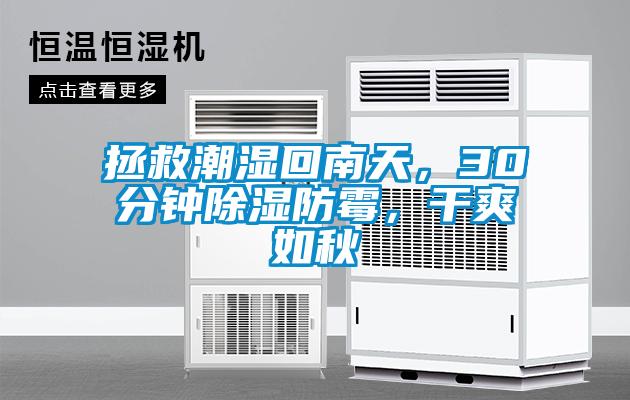 拯救潮濕回南天，30分鐘除濕防霉，干爽如秋