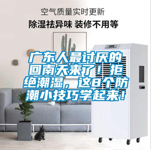 廣東人最討厭的回南天來了！拒絕潮濕，這8個(gè)防潮小技巧學(xué)起來！