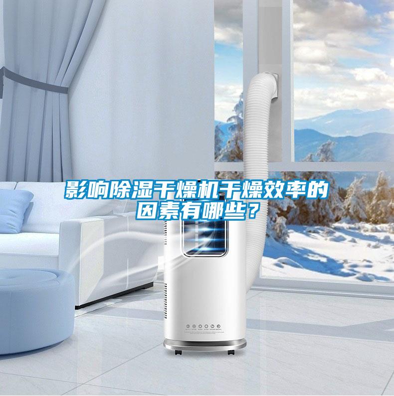 影響除濕干燥機(jī)干燥效率的因素有哪些？