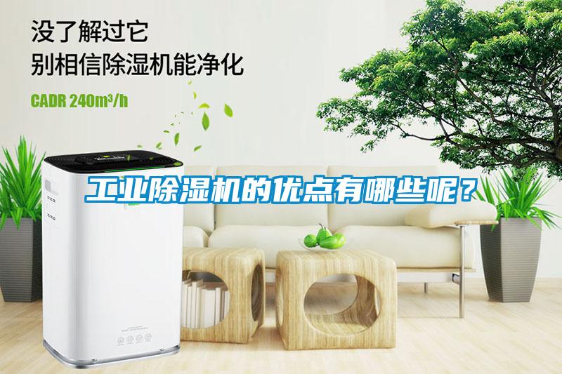 工業(yè)除濕機(jī)的優(yōu)點(diǎn)有哪些呢？