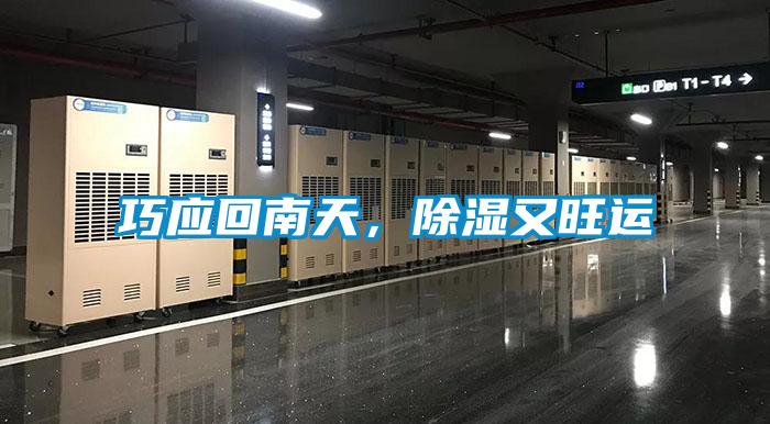 巧應(yīng)回南天，除濕又旺運(yùn)