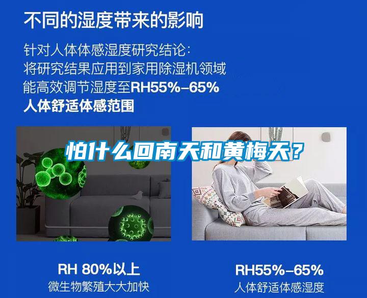 怕什么回南天和黃梅天？