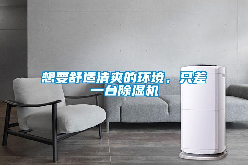 想要舒適清爽的環(huán)境，只差一臺除濕機