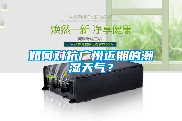 如何對抗廣州近期的潮濕天氣？