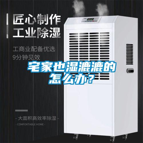 宅家也濕漉漉的怎么辦？