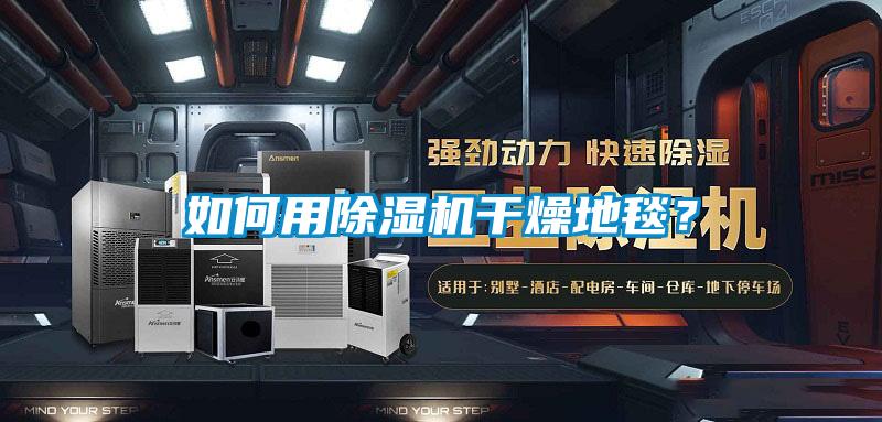 如何用除濕機干燥地毯？