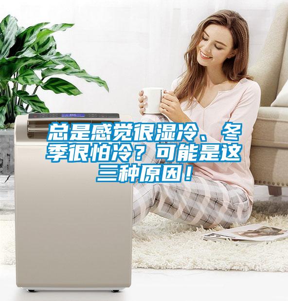 總是感覺很濕冷、冬季很怕冷？可能是這三種原因！