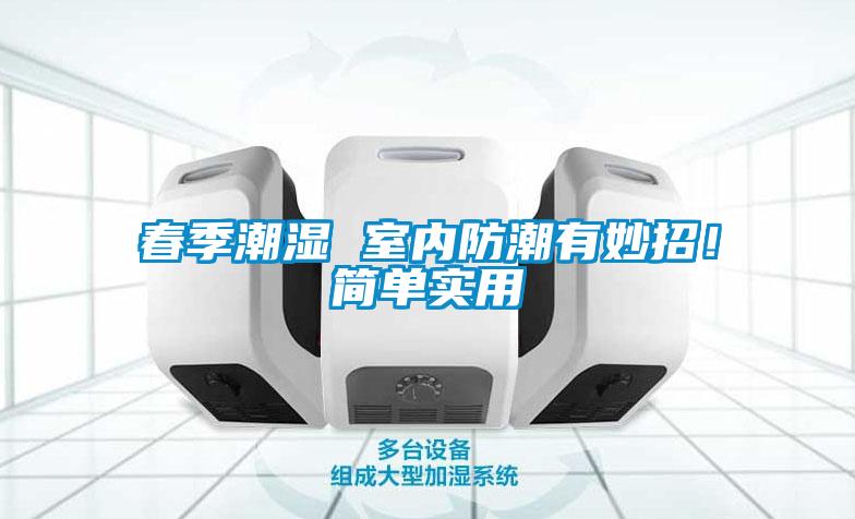 春季潮濕 室內(nèi)防潮有妙招！簡單實用