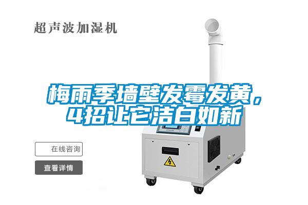 梅雨季墻壁發(fā)霉發(fā)黃，4招讓它潔白如新