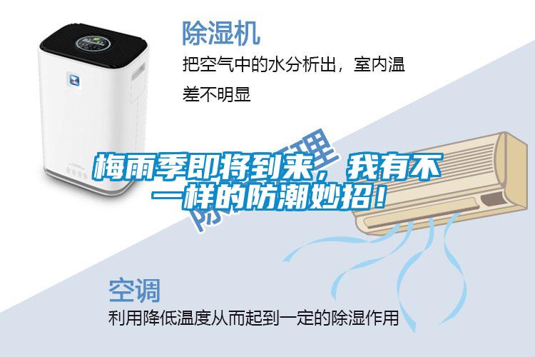 梅雨季即將到來(lái)，我有不一樣的防潮妙招！