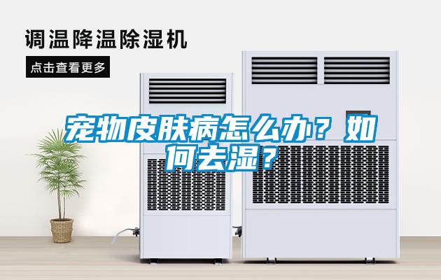 寵物皮膚病怎么辦？如何去濕？
