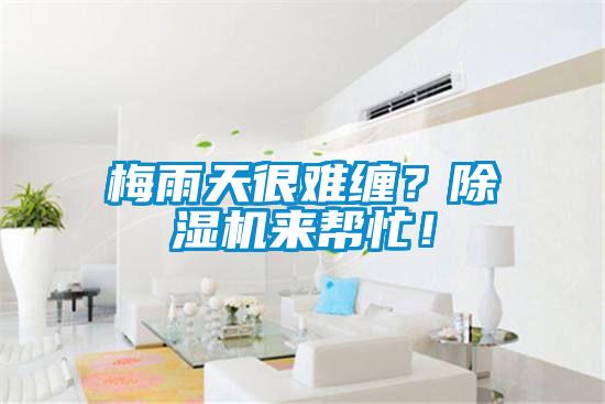 梅雨天很難纏？除濕機來幫忙！