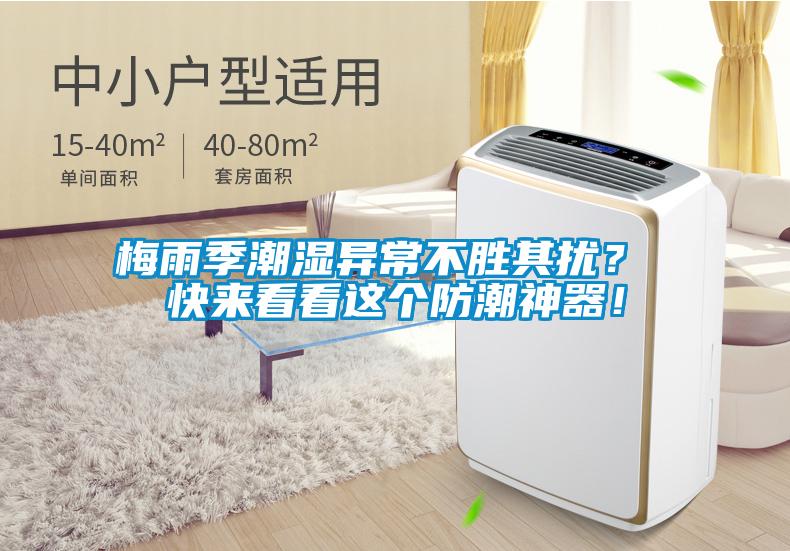 梅雨季潮濕異常不勝其擾？ 快來看看這個防潮神器！