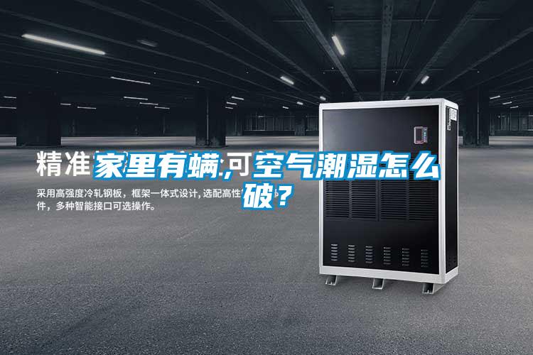 家里有螨，空氣潮濕怎么破？