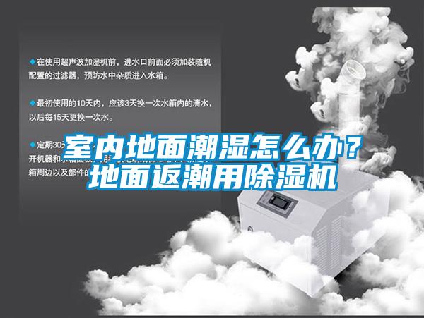 室內(nèi)地面潮濕怎么辦？地面返潮用除濕機
