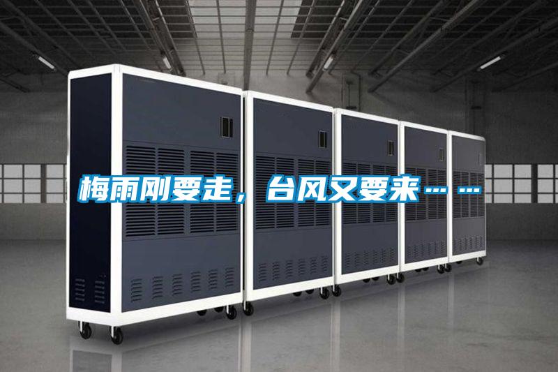 梅雨剛要走，臺風又要來……
