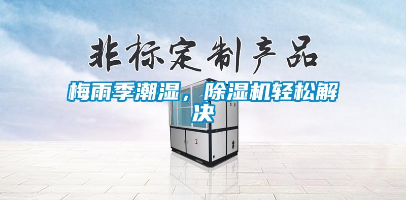 梅雨季潮濕，除濕機輕松解決