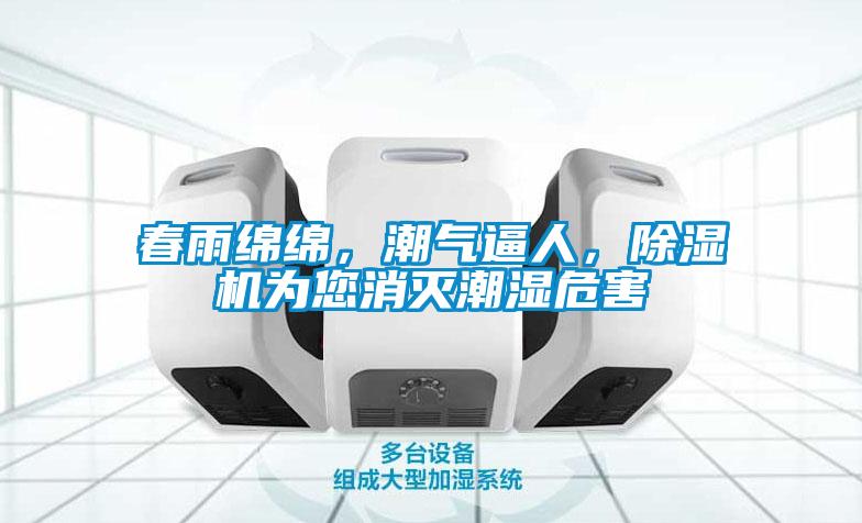春雨綿綿，潮氣逼人，除濕機(jī)為您消滅潮濕危害