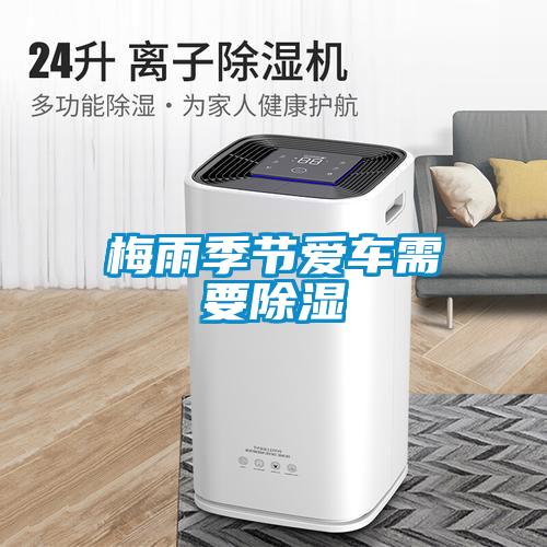 濕氣太重，大不如前！安詩曼除濕機還你健康好身體！