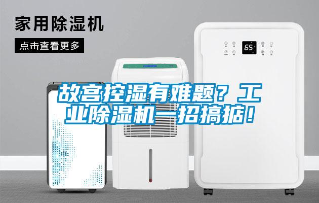 故宮控濕有難題？工業(yè)除濕機(jī)一招搞掂！
