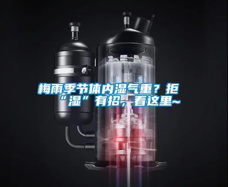 梅雨季節(jié)體內(nèi)濕氣重？拒“濕”有招，看這里~