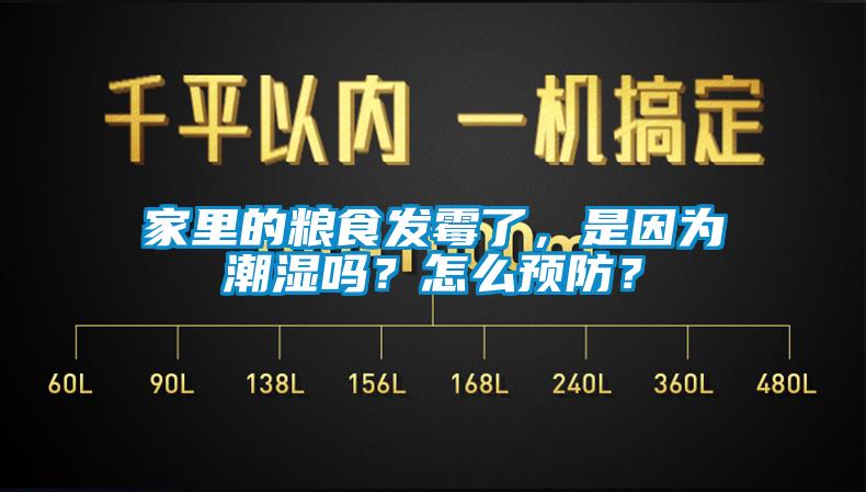 家里的糧食發(fā)霉了，是因為潮濕嗎？怎么預(yù)防？