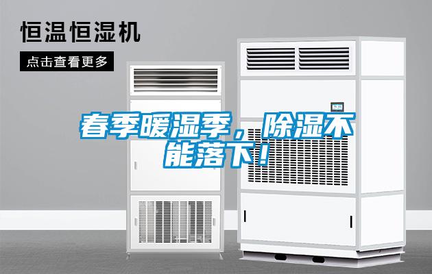 春季暖濕季，除濕不能落下！